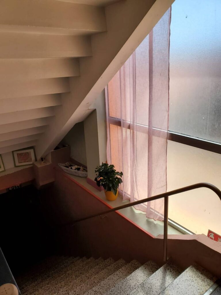 Design d'escalier lumineux : fenêtre, plante, cage. Cage d'escalier lumineuse : escalier en terrazzo, fenêtre avec rideau rose, plante en pot jaune. Rampe. Signe extincteur visible.